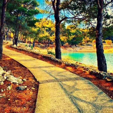 Brdanovic Cres